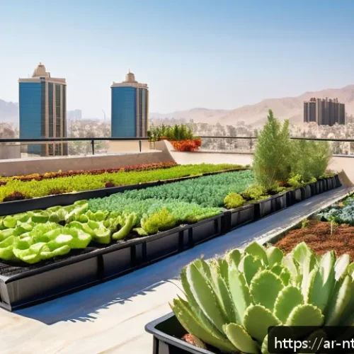 도시 농업의 가능성과 실천 사례 - A vibrant rooftop garden in a densely populated Middle Eastern city, featuring a variety of drought-...